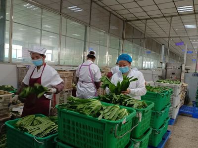 桐梓 多重守護 保障學生“舌尖上”的安全