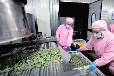 資本入局，電商煥新 生態循環農業與農村電商共繪鄉村振興新圖景