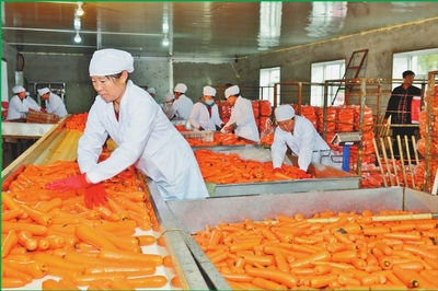 從沃土到市場 雙鴨山苗木產業如何實現“種得好”與“賣得好”的共贏